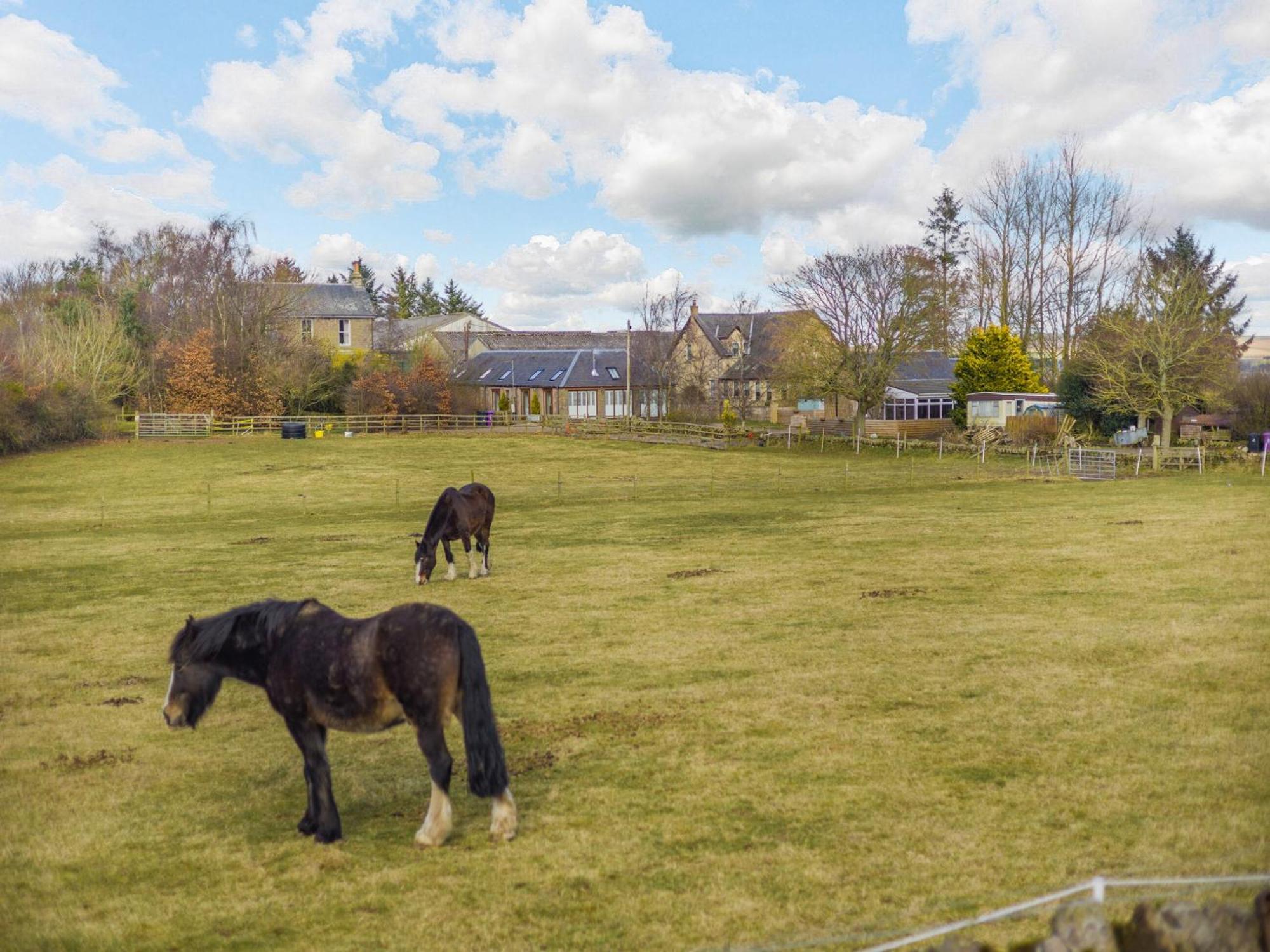 Appletree Cottage Kirkton of Tealing Exterior foto